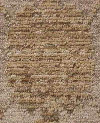 Loloi Willa Wia-10 3'6"x5'3 Area Rug
