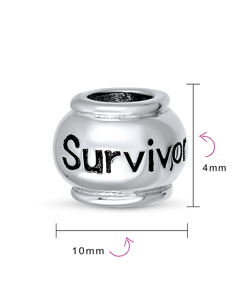 Bling Jewelry Word Survivor Message Inspirational Barrel Charm Bead .925 Sterling Silver Fits European Bracelet