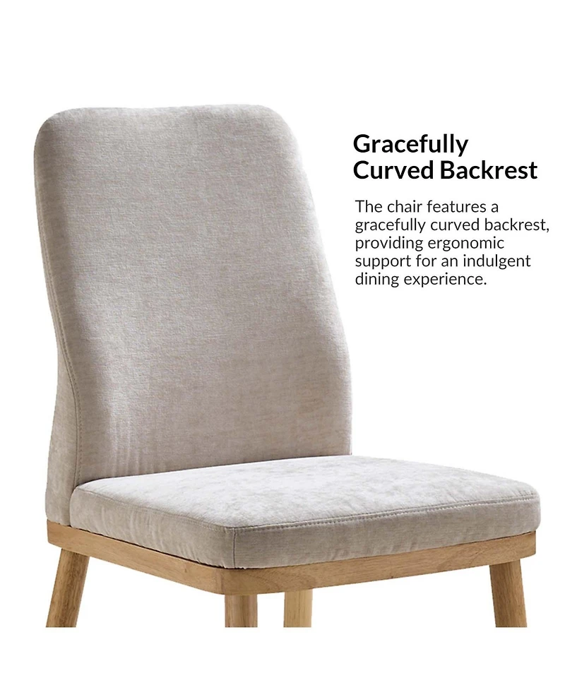 Luis Easy to Assemble and Ergonomic Dining Chair ,Set of 2