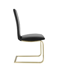 Set of 2 Modern Dining Chairs for Kitchen Table or Home Seating