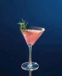 The Wine Savant Classic Hammered Martini Glasses, Set of 2