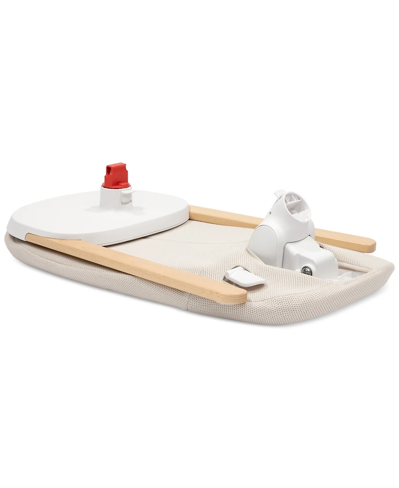 Stokke Baby Yoga Bouncer and Swing