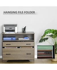 Vinsetto Lateral File Cabinet with Shelf, 2 Drawer Filing Cabinet for Letter Sized Papers, Print Stand, Charcoal Grey