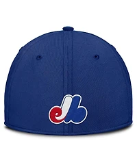 Nike Men's Gray/Blue Montreal Expos Rise Swoosh Performance Flex Hat