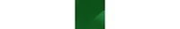 Cupshe Women's Seagrass Bay Green Bikini Set