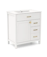 Single Bathroom Vanity with 2 Drawers and 1 Door