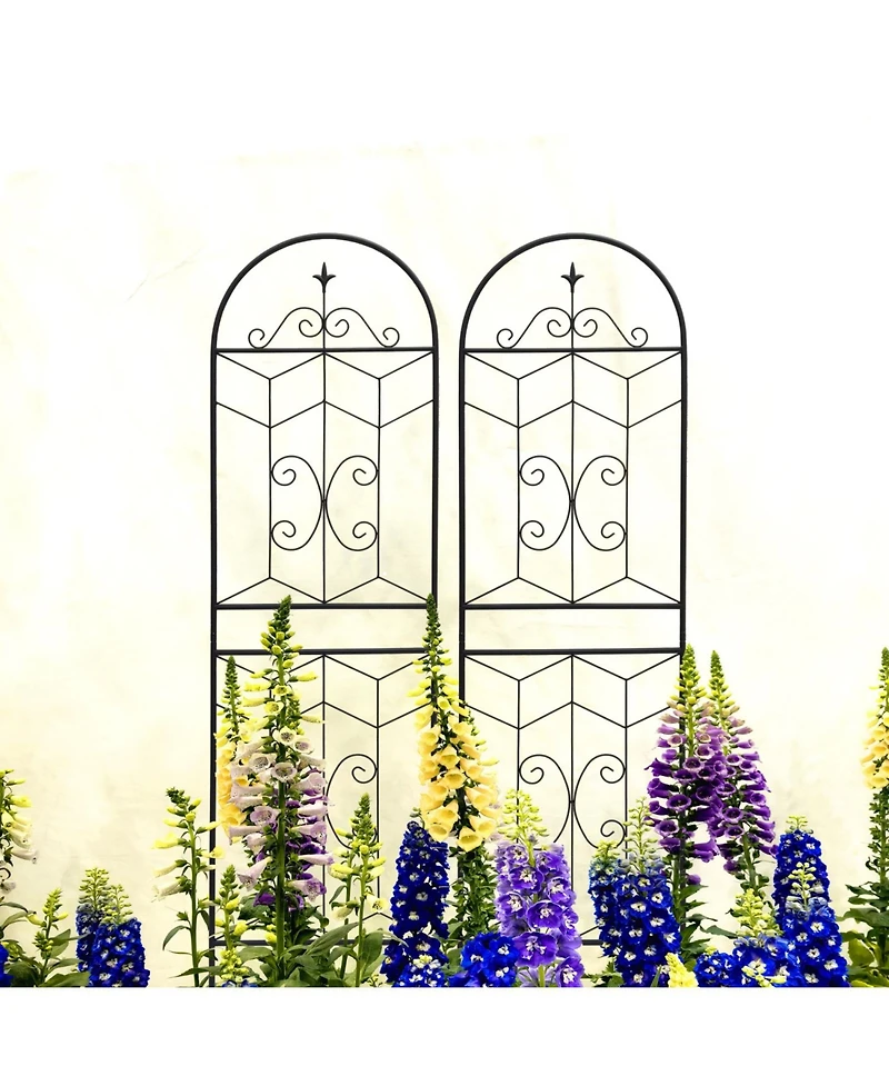 Streamdale 2 Pack 71" Metal Garden Trellis