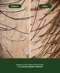 Verb Density Peptide Shampoo, 12 oz.