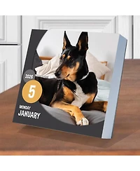 2026 Dog A Day Daily Desktop Calendar