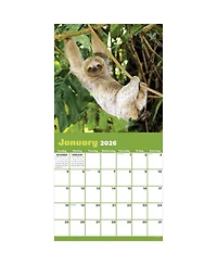 2026 Sloths Wall Calendar