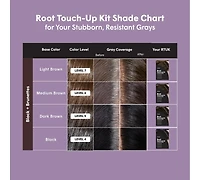 Root Touch-Up Kit for Resistant Grays
