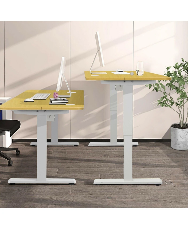 48-Inch Electric Standing Adjustable Desk with Control Panel and Usb Port