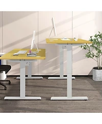 48-Inch Electric Standing Adjustable Desk with Control Panel and Usb Port