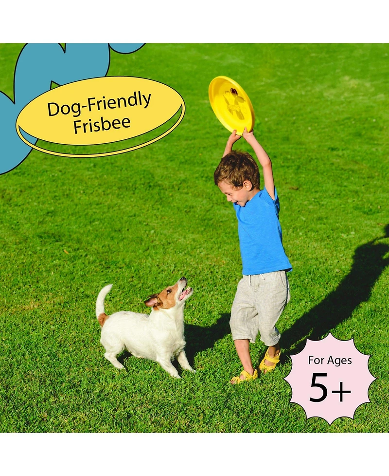 Wham-o Frisbee Fastback Pack Flying Disc, 9.35 Inch Dog-friendly Lightweight Toy for Professional Players