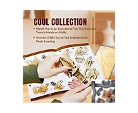 Livevie 3D Wooden Catapult Kit Stem Toy for Kids, Includes Panels, Elastic Bands, and Eva Balls, Explore Physics Principles of Force, Trajectory, and