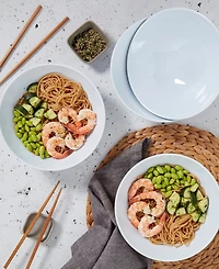 Infuse Melamine Ramen Bowls, Set of 4