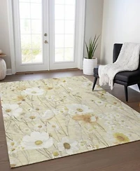 Addison Chantille Machine Washable Acn1505 Area Rug Collection