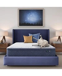 Serta Dream Haven 12 Plush Pillow Top Mattress In A Box Collection