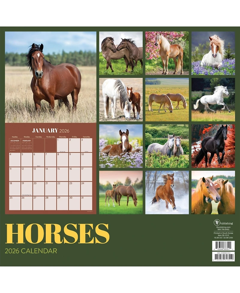 2026 Horses Wall Calendar
