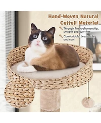 Cat Tree with Perch and Soft Hammock for Indoor Cats