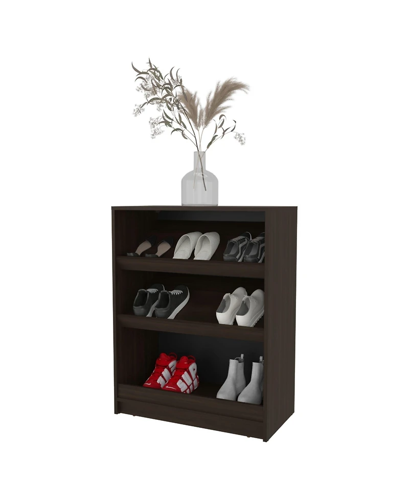 Oatman Shoe Rack with Open Storage, Wengue