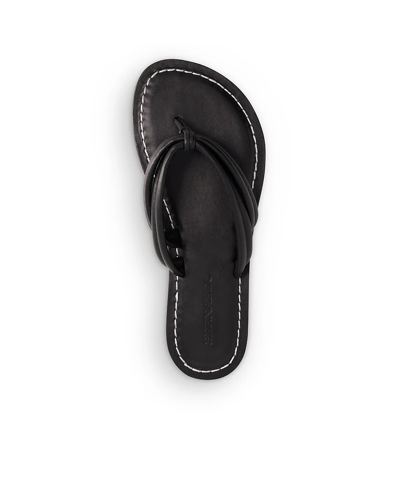 Bernardo Miami Thong Sandal