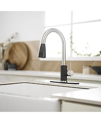 Greenspring Single-Handle Pull-Out Sprayer Kitchen Faucet with Supply Lines Matte Black and Brushed Nickel