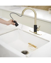 Greenspring Single-Handle Pull-Out Sprayer Kitchen Faucet with Supply Lines in Matte Black and Brushed Nickel