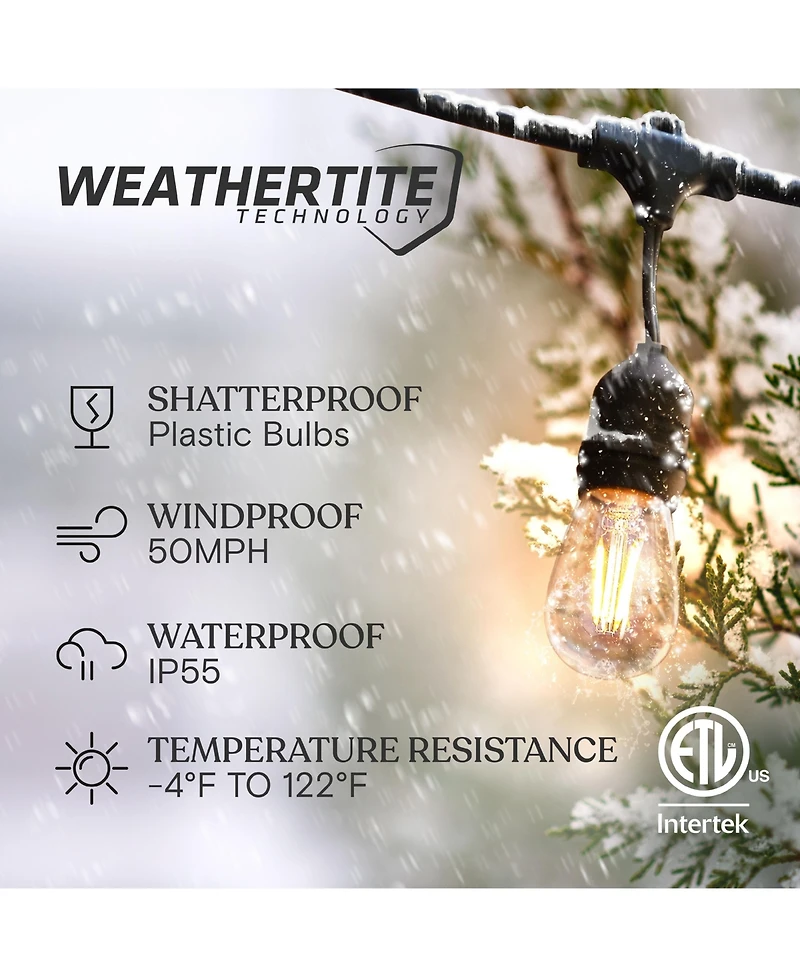 Ambience Pro 48 ft. Indoor/Outdoor Led Weatherproof 2-Watt String Lights with Warm White Hue