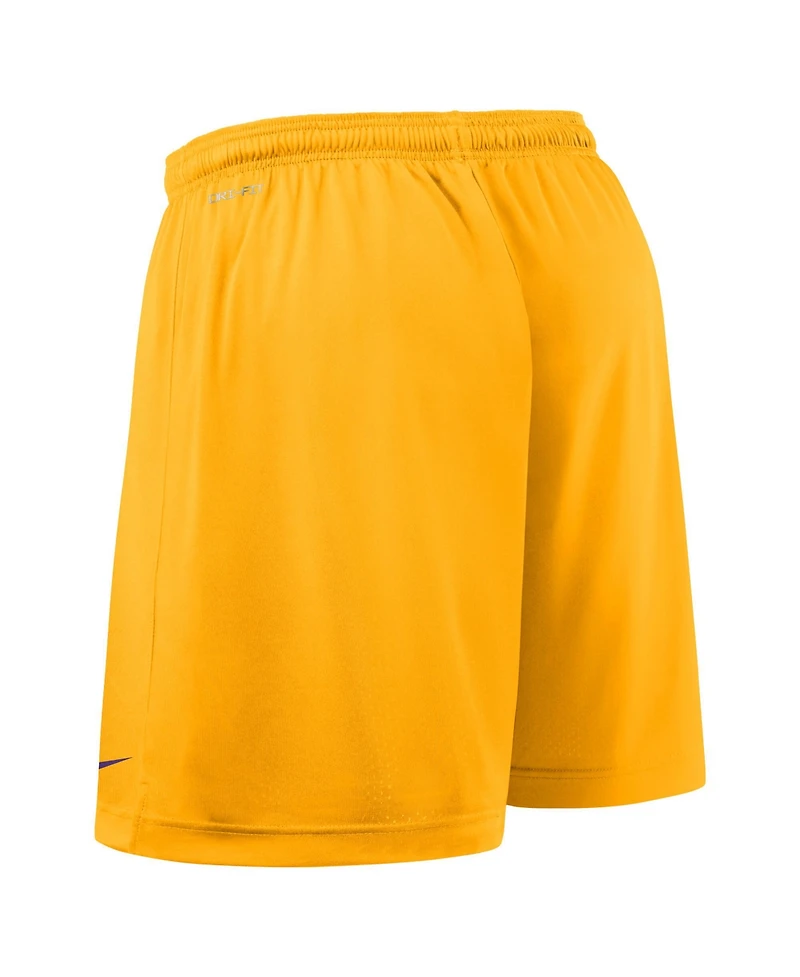 Nike Men's Purple/Gold Lsu Tigers 2025 Sideline Reversible Performance Shorts