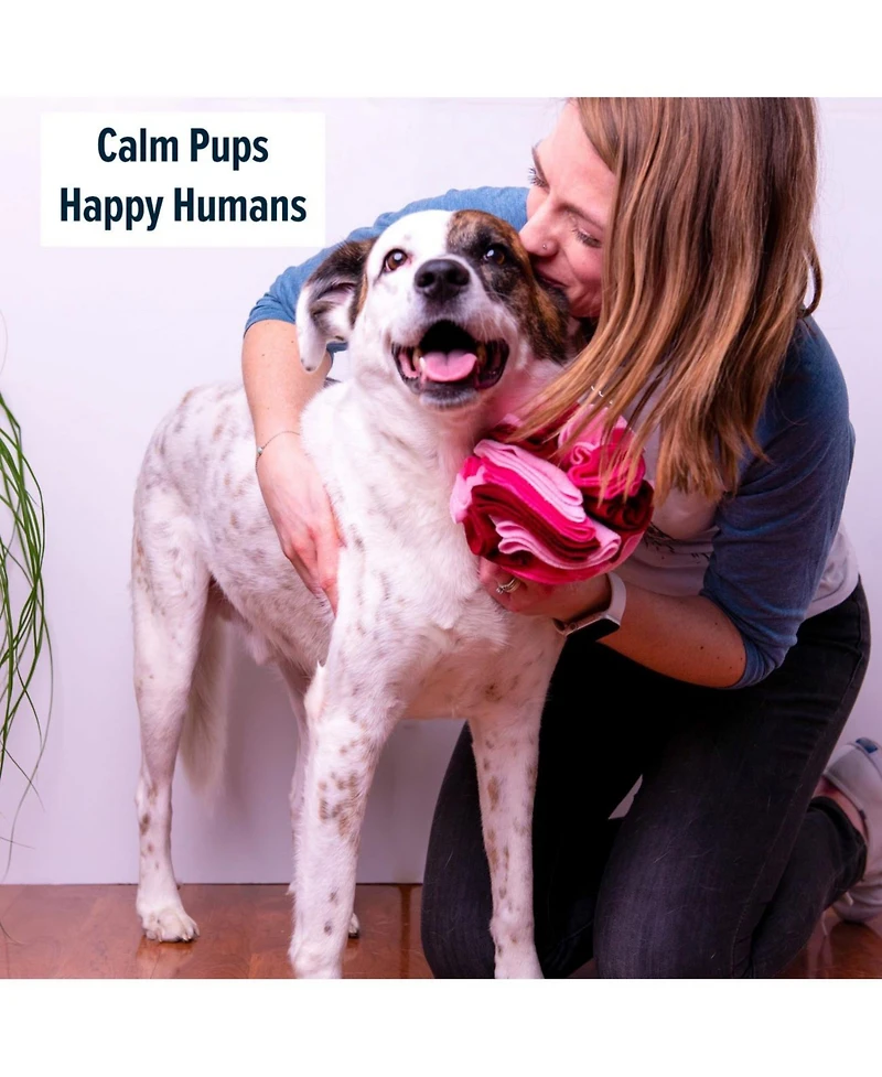 Puppington Pupper Snuffle Ball - Snuffle Ball for Dogs