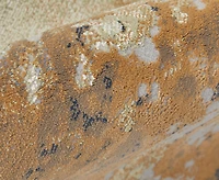 Feizy Clio 39K1F 3'10"x6' Area Rug