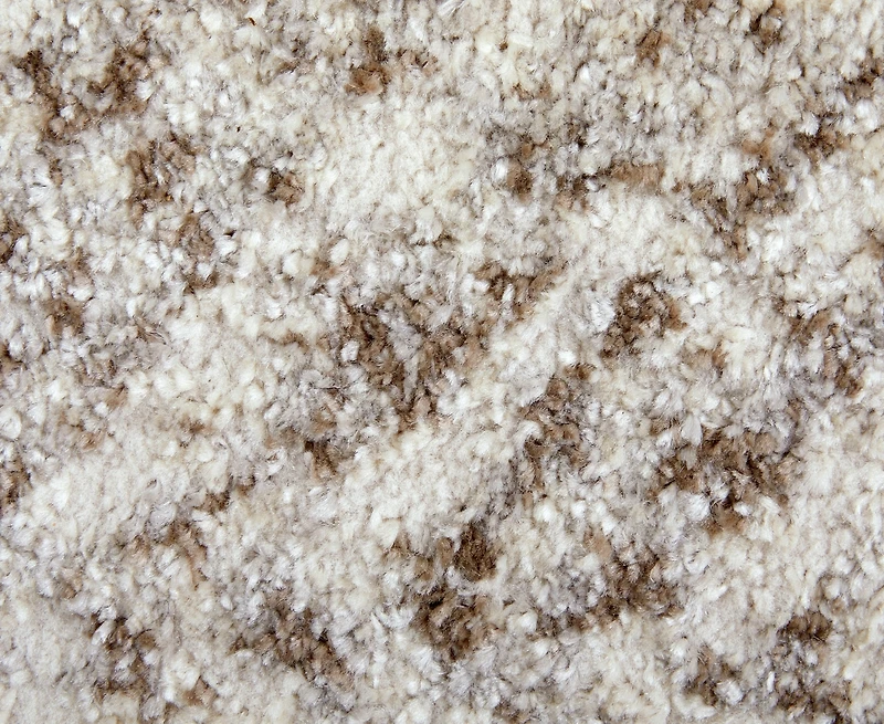 Feizy Vancouver 39NPF 4'x6' Area Rug