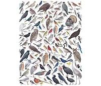 New York Puzzle Company Birds of Eastern/Central North America 1000 Piece Puzzle