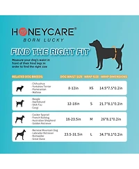 HoneyCare PrintedAll Absorb Petrichor Male Dog Wraps, Fresh Scent Dog Diaper, Disposable, Large, 80Ct