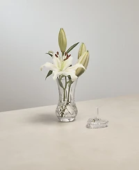 Waterford Waterford Giftology Lismore Bon Bon Vase 6", Purple Box