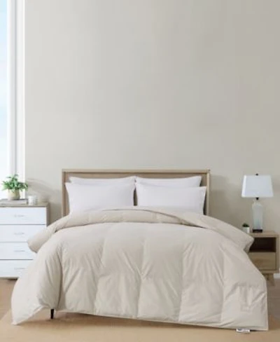 Nikki Chu 250 Thread Count Down Comforter