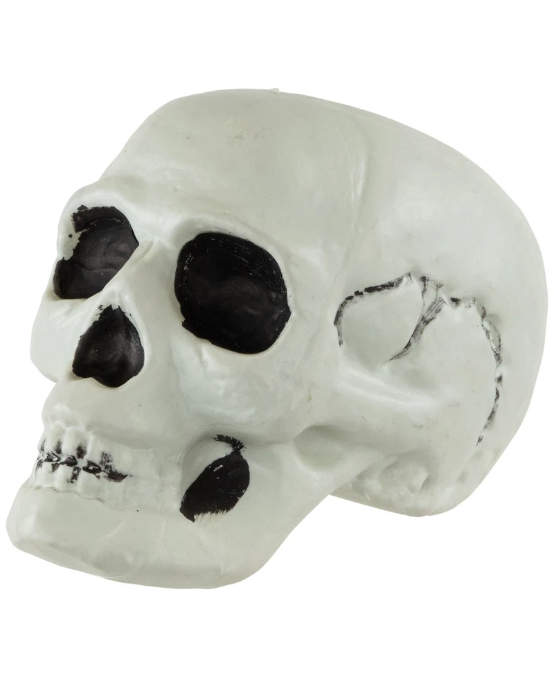 Northlight Bag of Skulls Halloween Decorations, Set of 3