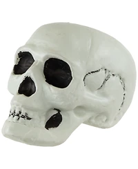 Northlight Bag of Skulls Halloween Decorations, Set of 3