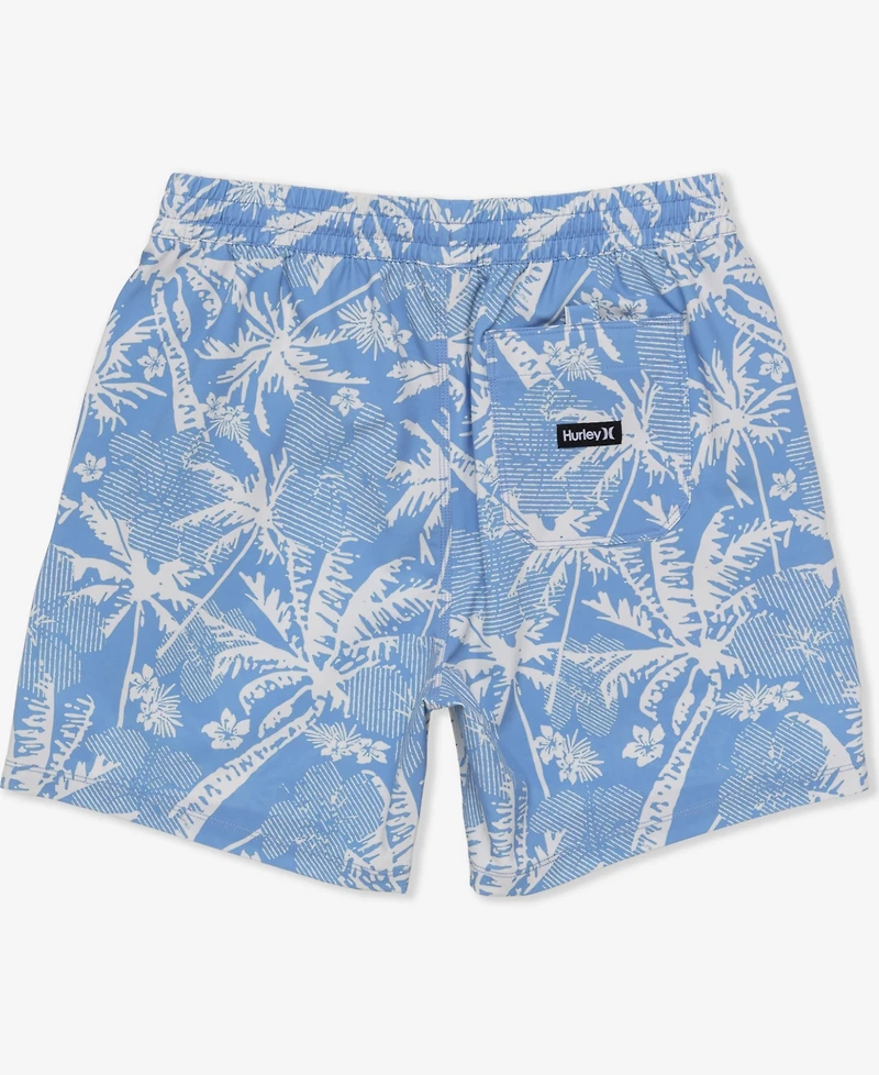 Hurley Men's Cannonball Volley Boardshorts