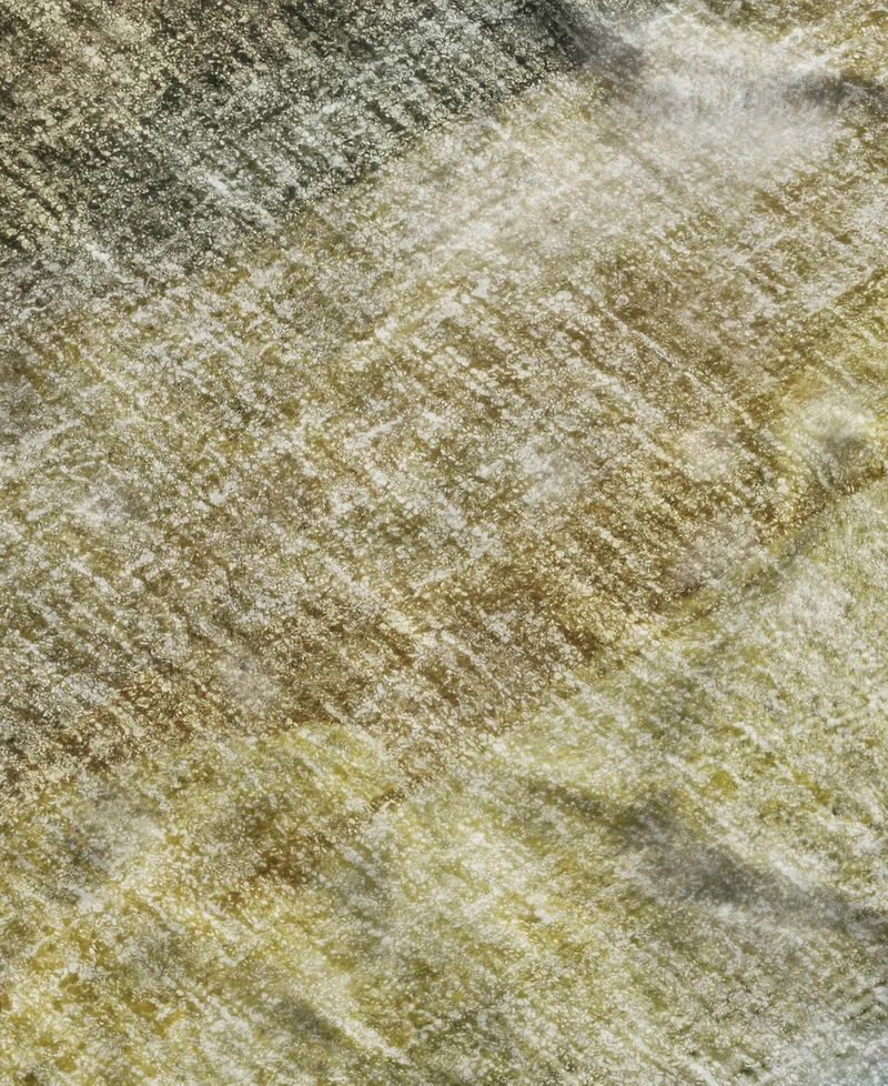Dalyn Boca BO4 9'x12' Area Rug