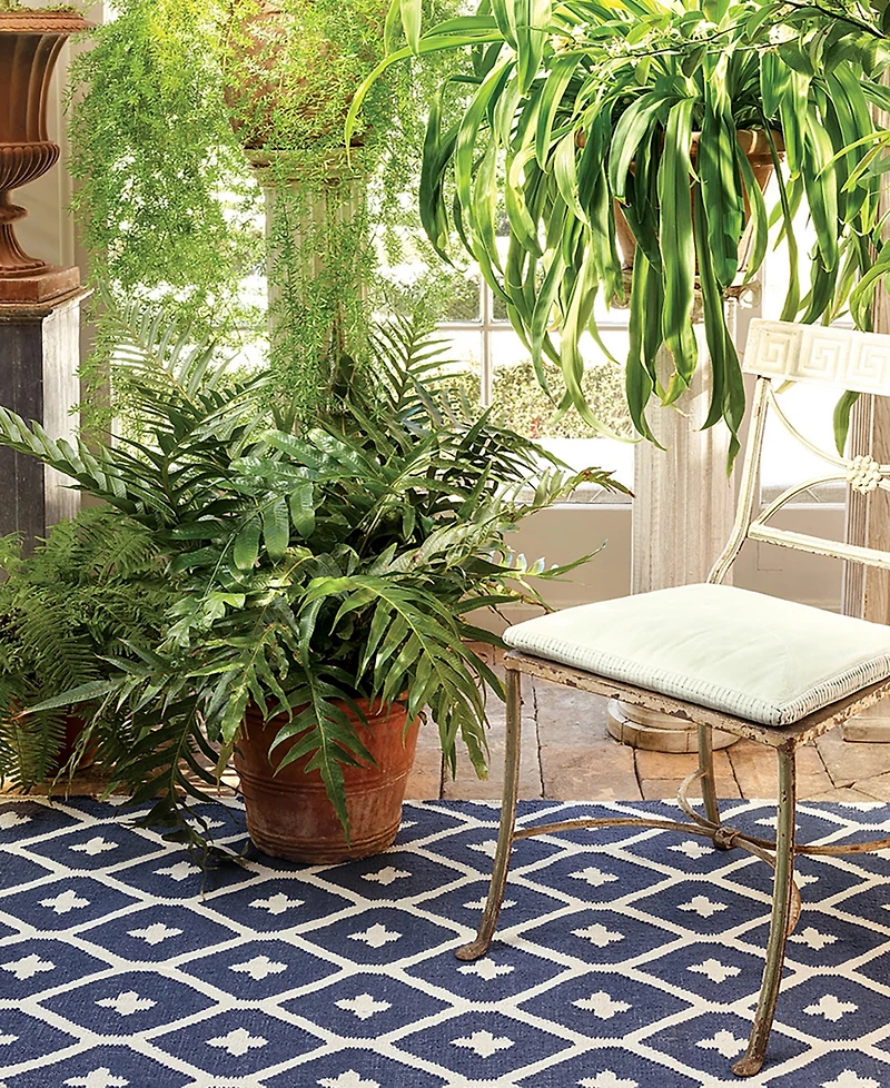 Dash and Albert Rugs by Annie Selke Elizabeth Indoor/Outdoor DA771 3'x5' Area Rug