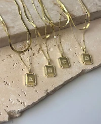 Adornia Gold Pave Tag Pendant and Herringbone Chain Initial Necklace Set