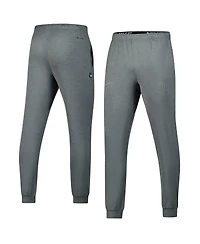 Nike Men's Heather Gray Tampa Bay Rays Travel Performance Pants