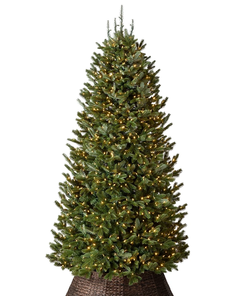 Balsam Hill ft Pre-Lit Fraser Fir Narrow Tree