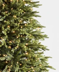 Balsam Hill 6 ft Pre-Lit Silverado Slim Tree