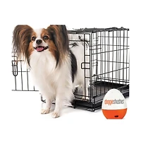 Doggie Shusher: The Original Portable Sound Machine for Dogs | Shhhh Shusher for Dog Anxiety Relief | Puppy must haves | Usb-c Charging