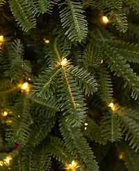 Balsam Hill 3.5 ft Fraser Fir Pre-Lit Tabletop Tree