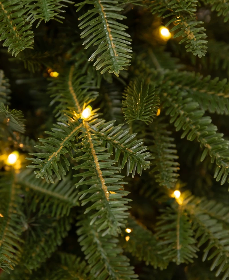 Balsam Hill 2.5 ft Fraser Fir Pre-Lit Tabletop Tree