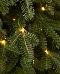 Balsam Hill 2.5 ft Fraser Fir Pre-Lit Tabletop Tree